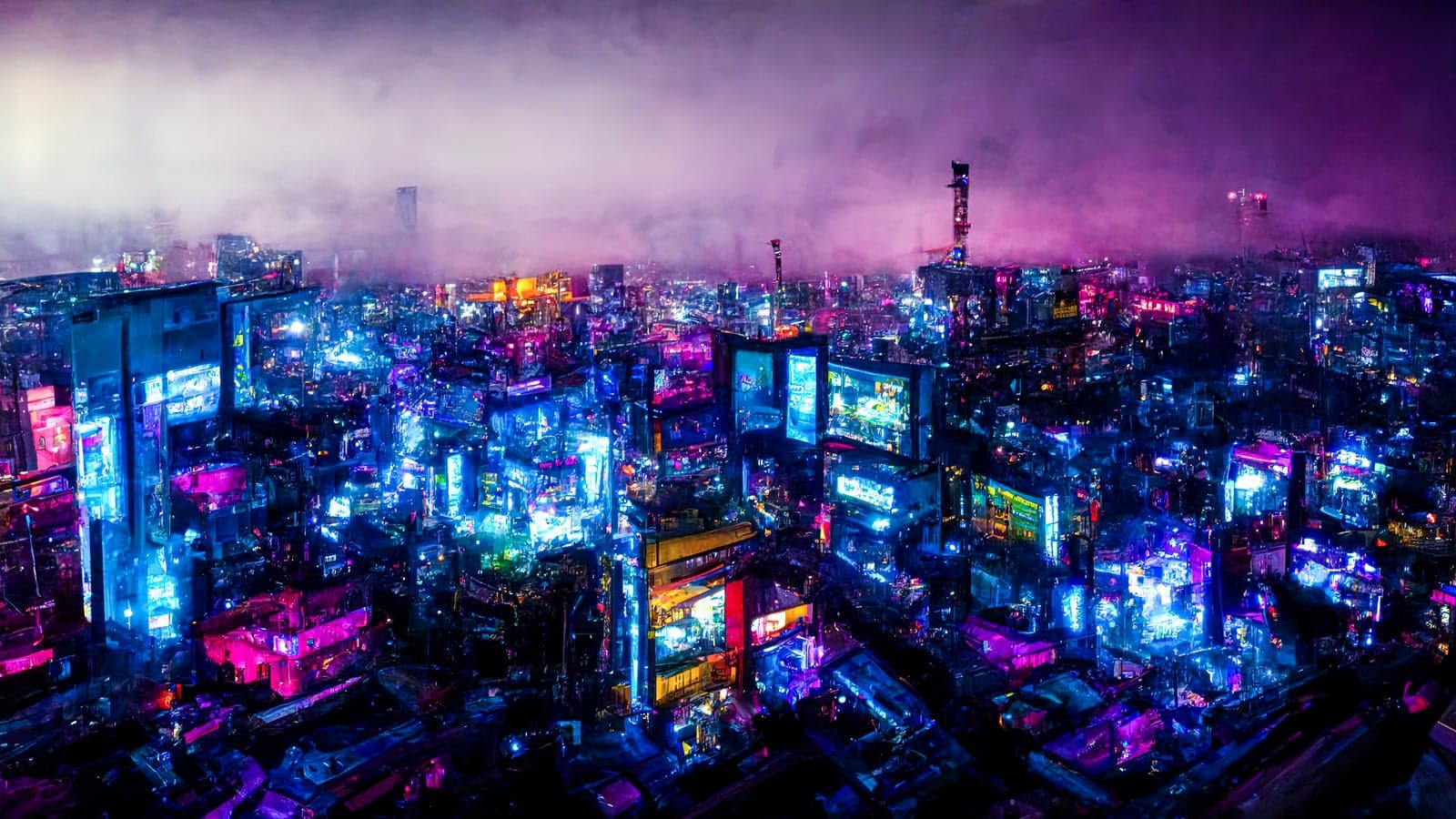 活動の様子